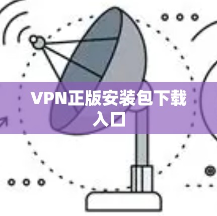 VPN正版安装包下载入口