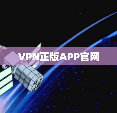 VPN正版APP官网