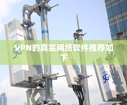 VPN的真实网络软件推荐如下 VPN的真实网络软件推荐如下