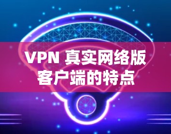 VPN 真实网络版客户端的特点