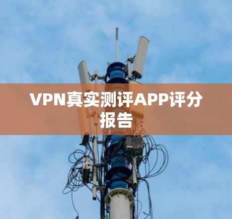 VPN真实测评APP评分报告