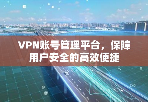 VPN账号管理平台，保障用户安全的高效便捷