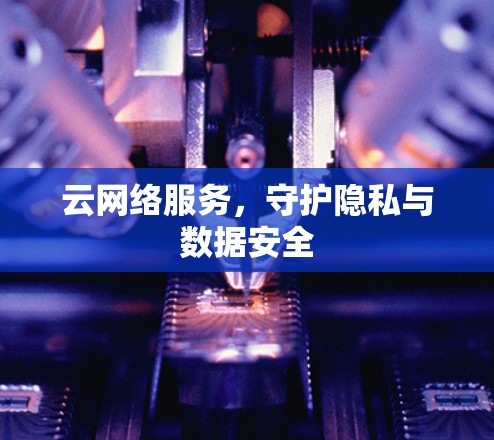 云网络服务，守护隐私与数据安全