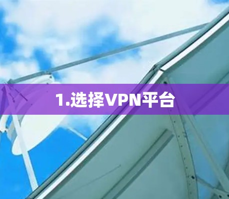 1.选择VPN平台