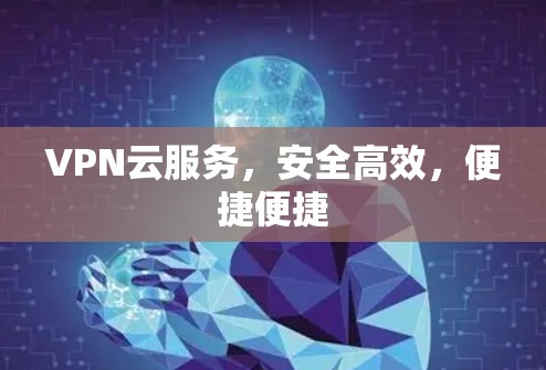 VPN云服务，安全高效，便捷便捷