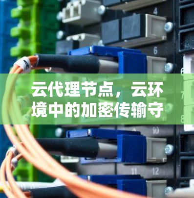 云代理节点，云环境中的加密传输守护者