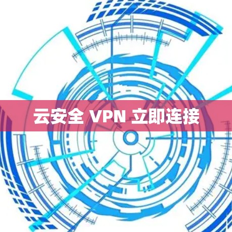 云安全 VPN 立即连接