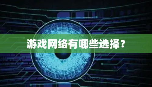 游戏网络有哪些选择？
