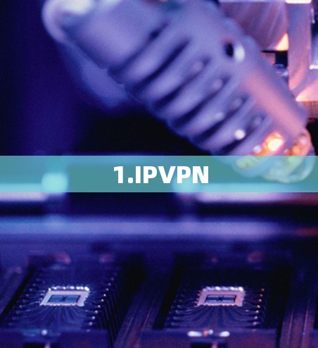 1.IPVPN
