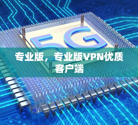 专业版，专业版VPN优质客户端