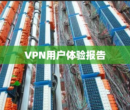 VPN用户体验报告