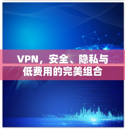 VPN，安全、隐私与低费用的完美组合