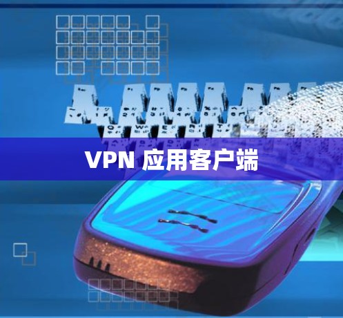 VPN 应用客户端