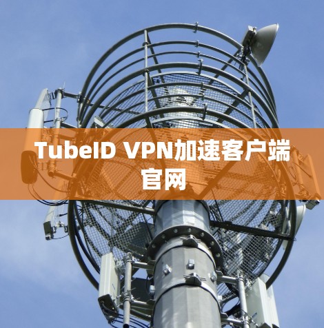 TubeID VPN加速客户端官网