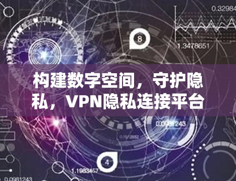 构建数字空间，守护隐私，VPN隐私连接平台解决方案