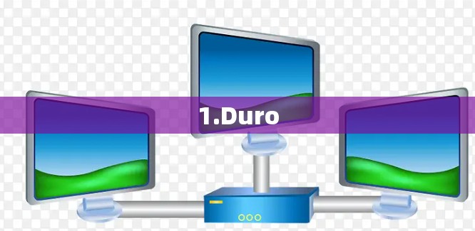 1.Duro