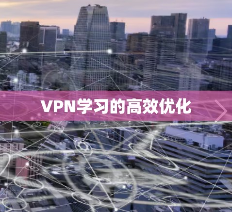 VPN学习的高效优化
