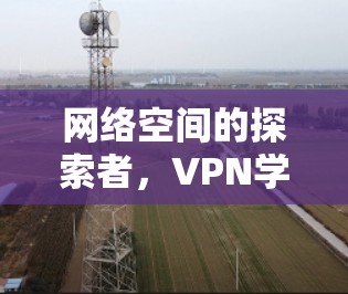 网络空间的探索者，VPN学习模式的探索与未来展望