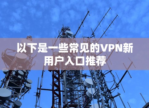 以下是一些常见的VPN新用户入口推荐