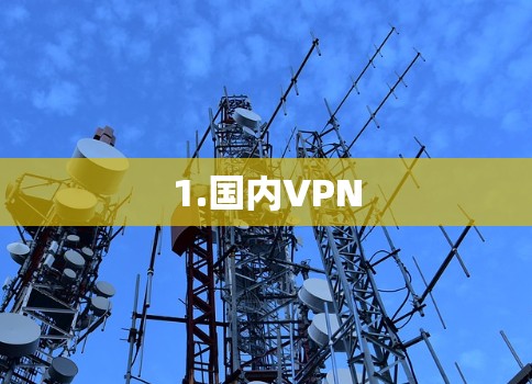 1.国内VPN