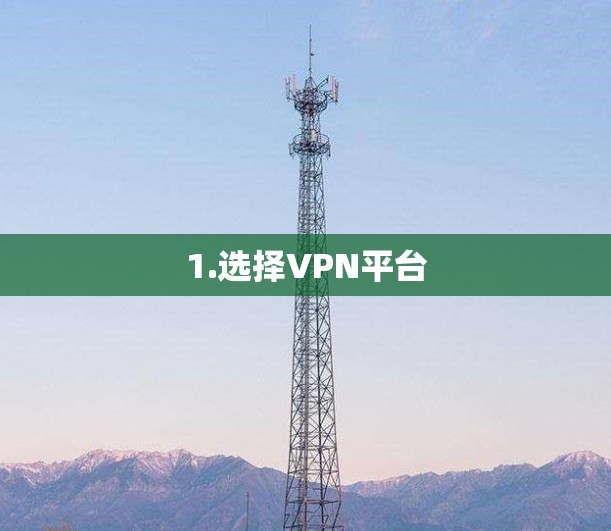 1.选择VPN平台