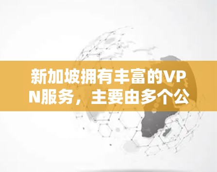新加坡拥有丰富的VPN服务，主要由多个公司提供。以下是关于新加坡VPN的主要信息