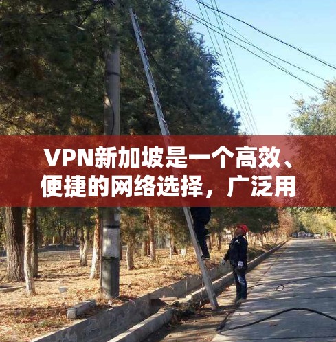 VPN新加坡是一个高效、便捷的网络选择,广泛用于访问新加坡地区的网络资源。以下是关于VPN新加坡的详细分析 VPN新加坡是一个高效、便捷的网络选择,广泛用于访问新加坡地区的网络资源。以下是关于VPN新加坡的详细分析
