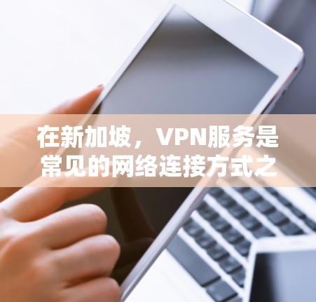 在新加坡，VPN服务是常见的网络连接方式之一，特别是在需要访问本地网站、在线平台或进行国际化的网络访问时。新加坡有许多提供VPN服务的公司和提供商，以下是一些主要的VPN提供商和相关的VPN服务类型