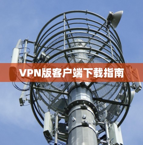 VPN版客户端下载指南