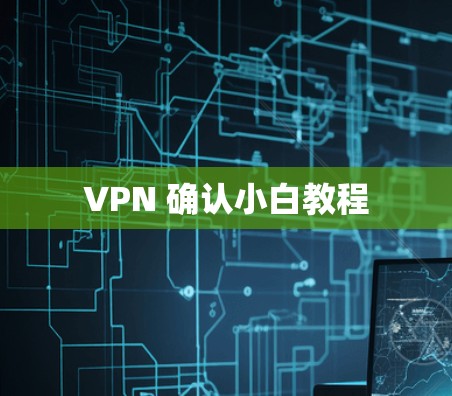 VPN 确认小白教程