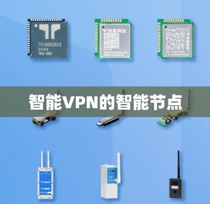 智能VPN的智能节点