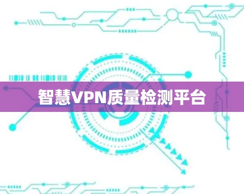 智慧VPN质量检测平台